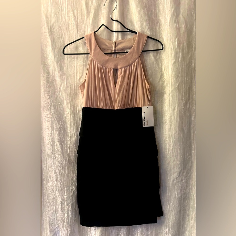 En Focus Petite NWT Size 4P Pink and Black Dress